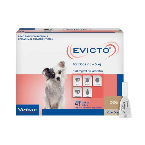 Evicto Spot On Flea & Worm Treatment for Very Small Dogs 2.6-5kg Pink 4 Pack