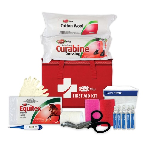 Value Plus First Aid Kit with Carry Bag for Cuts Swelling or Dressing Changes