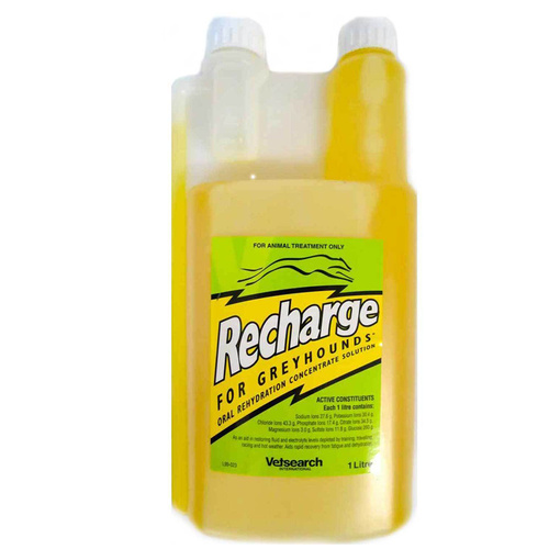 Virbac Recharge Electrolyte Energy Fluid Replacer for Dogs 1L 