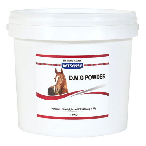 Vetsense DMG Dimethylglycine Powder Equine Horse Supplement 1.5kg