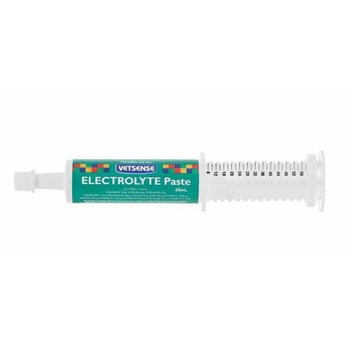 Vetsense Oral Eltrolyte Paste with Vitamins for Race Horse Pony 60ml 