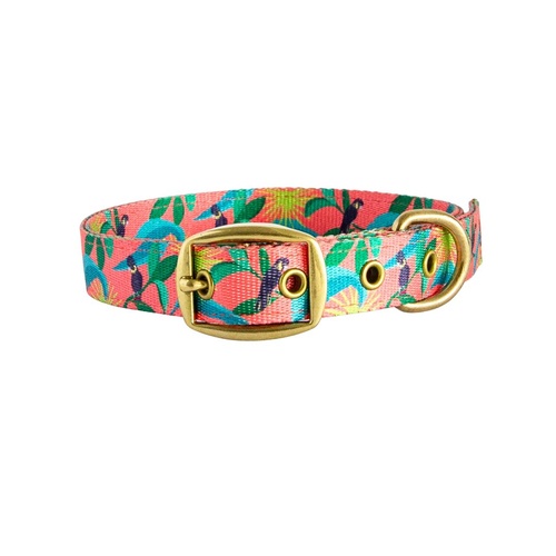 Anipal Clancy the Black Cockatoo Durable Pet Dog Collar Medium