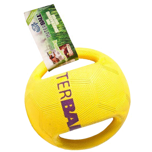 Interball Interactive Dog Play Durable Toy With Swing Tag 