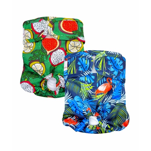 Loving Pets Washable Pet Dog Nappies Eco-Friendly Blue/Green 2 Pack XS