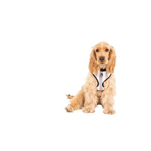 Mog & Bone Neoprene Durable Dog Harness Latte Hamptons Stripe Print Small