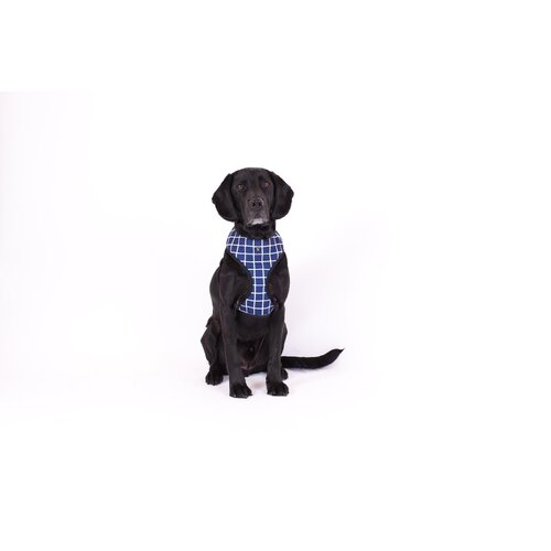 Mog & Bone Neoprene Durable Dog Harness Navy Check Print Small