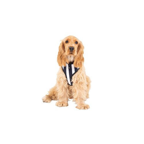 Mog & Bone Neoprene Durable Dog Harness Navy Hamptons Stripe Print Small