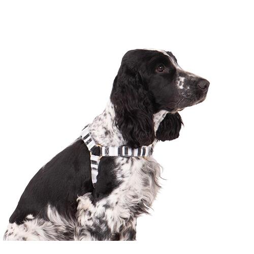 Mog & Bone Hemp No-Pull Dog Harness Pebble Black Brush Stroke Medium