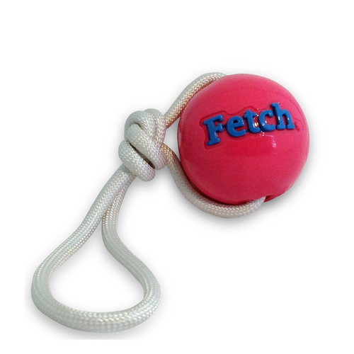 Planet Dog Orbee-Tuff Tug Fetch Ball Interactive Play Dog Toy Pink