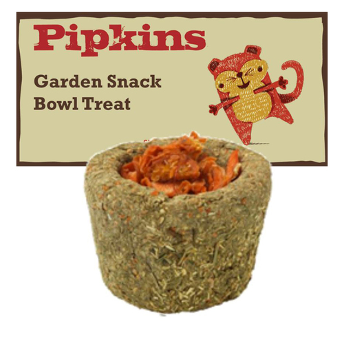 Pipkins Garden Snack Bowl Carrots Treat for Gerbils Guinea Pigs & Hamsters 140g