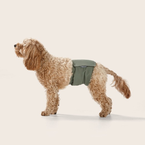 Snooza Washable Dog Nappy Band Twin Pack for Male Dogs Steel Medium