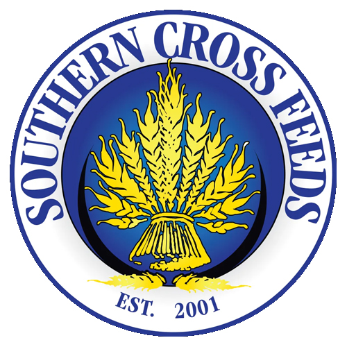 Southern Cross