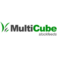 Multicube