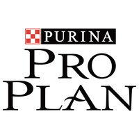 Pro Plan