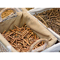 Choosing The Right Feed For Your Horse 
