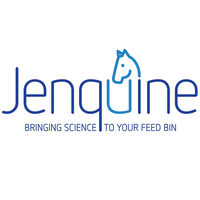 Jenquine