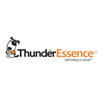 ThunderEssence
